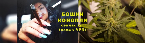 spice Балахна