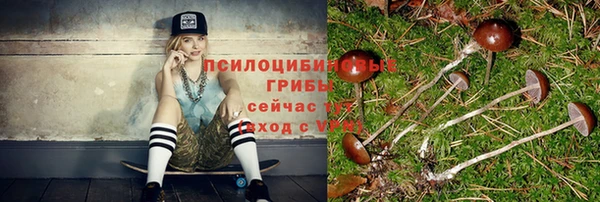 spice Балахна