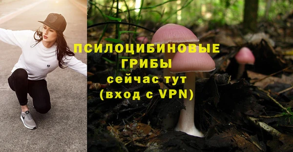 spice Балахна