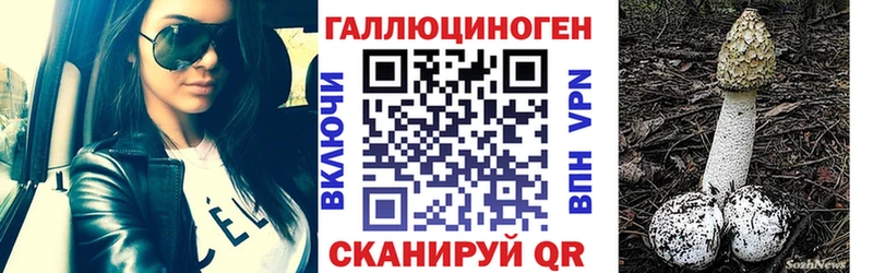 Псилоцибиновые грибы Psilocybe  Купить закладки  Хилок 